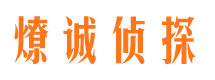 城北市调查公司